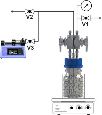 Coupled model for microbial growth and phase mass transfer in pressurized batch reactors in the context of underground hydrogen storage